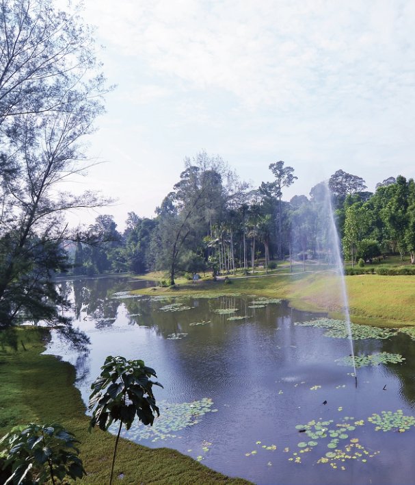 Lush green park at Bukit Bandaraya